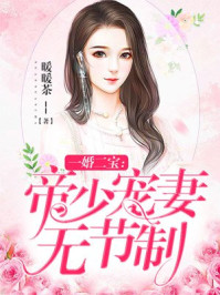 一婚二宝：帝少宠妻无节制全文