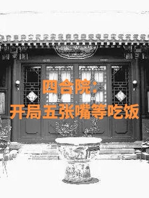 四合院：开局五张嘴等吃饭全本阅读