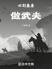 回到盛唐做武夫 By{author}