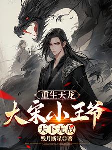 重生天龙，大宋小王爷，天下无敌 By{author}