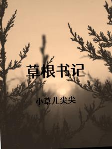 草根书记By{author}