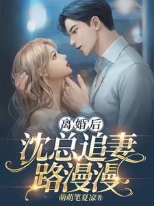 离婚后沈总追妻路漫漫By{author}