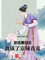 穿成寡妇后，我成了京城首富全文