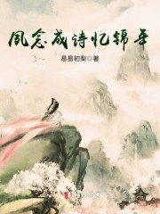 夙念成诗忆锦年By{author}