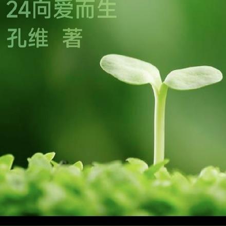 24向爱而生无错小说