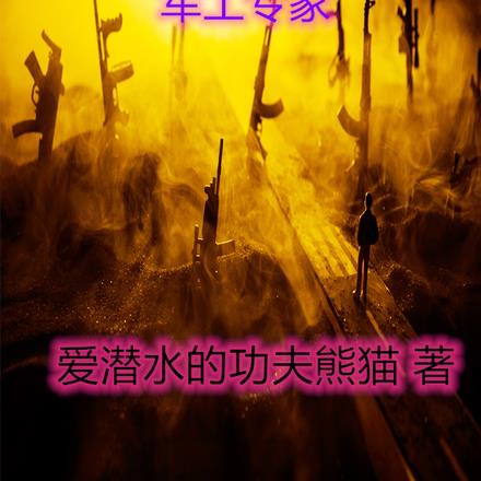 亮剑：老李，我真不是军工专家 By{author}