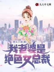 护花神医苏晨刘美芸By{author}