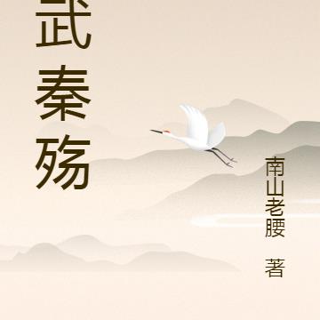 风武秦殇