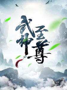 武神至尊叶风,叶紫灵全本阅读