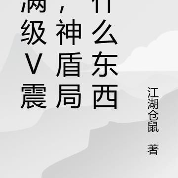 我满级V震天，神盾局是什么东西全文