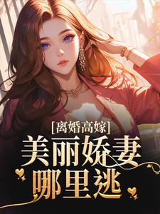 离婚高嫁:美丽娇妻哪里逃又名什么