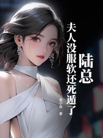 陆总夫人开