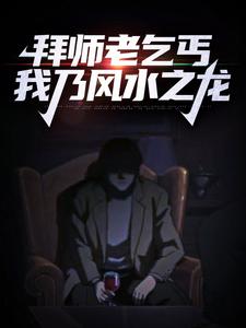 拜师老乞丐：我乃风水之龙无错小说