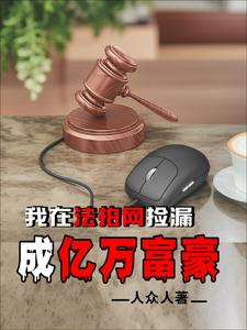 我在法拍网捡漏成亿万富豪无错小说