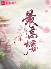 最高楼无错小说