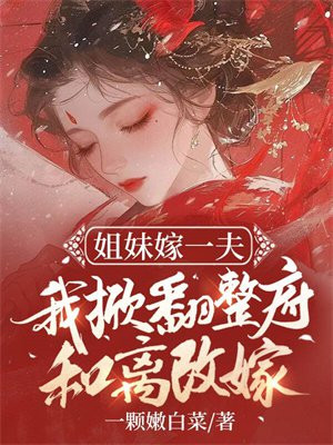 姐妹嫁一夫，我掀翻整府和离改嫁全文