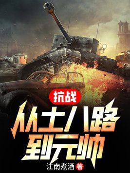 抗战:从小兵到将军小说