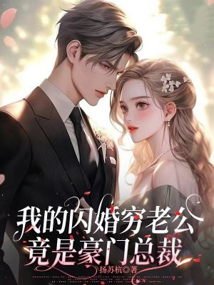 我的闪婚穷老公竟是豪门总裁无错小说