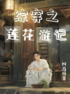 综穿之莲花游记 By{author}