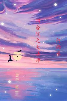 四合院之大法师何雨水By{author}