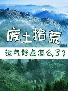 废土拾荒，运气好点怎么了？By{author}