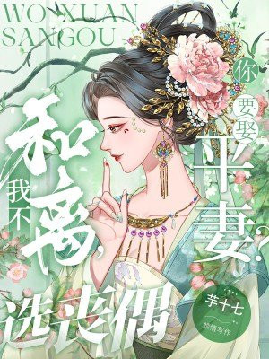 你要娶平妻？我不和离，选丧偶无错小说